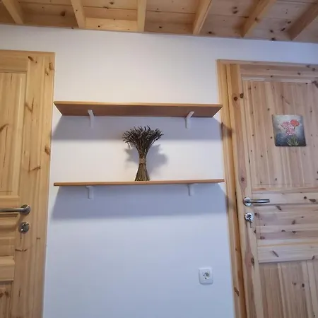 Alpesi faház Grajski Oddih